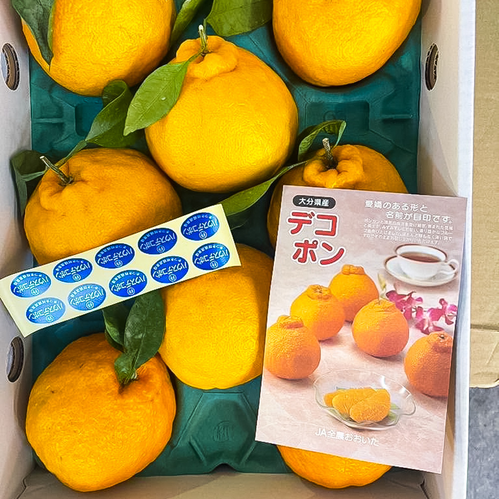 国産柑橘